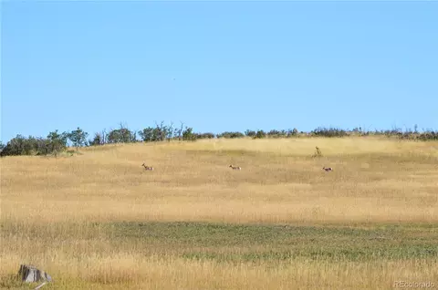 00 Thacker Rd, Rye, CO 81069 photo 2