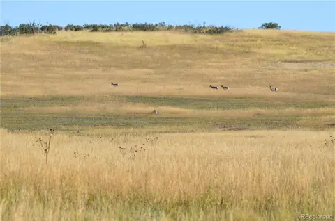 00 Thacker Rd, Rye, CO 81069 photo 13