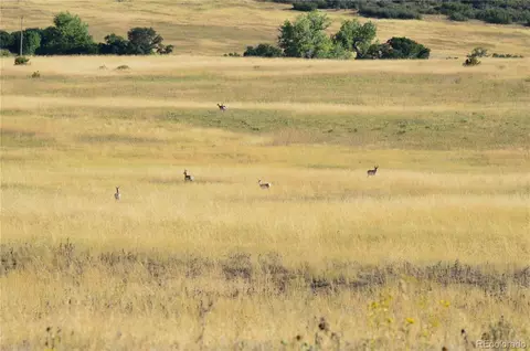 00 Thacker Rd, Rye, CO 81069 photo 9
