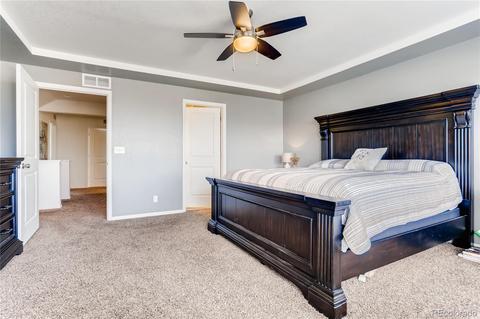 4994 Cathay Ct, Denver, CO 80249 photo 13