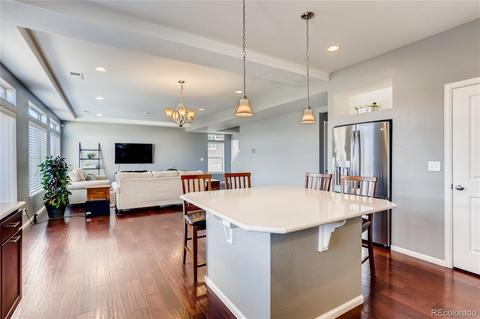 4994 Cathay Ct, Denver, CO 80249 photo 8