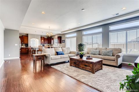4994 Cathay Ct, Denver, CO 80249 photo 9