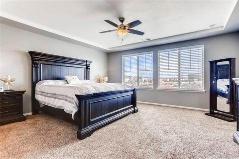 4994 Cathay Ct, Denver, CO 80249 photo 14