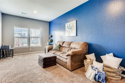 4994 Cathay Ct, Denver, CO 80249 photo 4