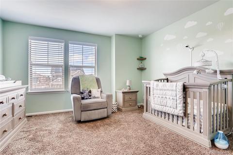 4994 Cathay Ct, Denver, CO 80249 photo 16