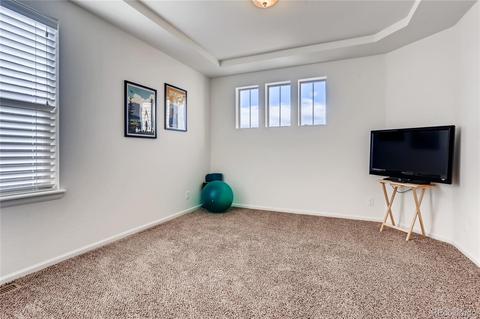 4994 Cathay Ct, Denver, CO 80249 photo 20