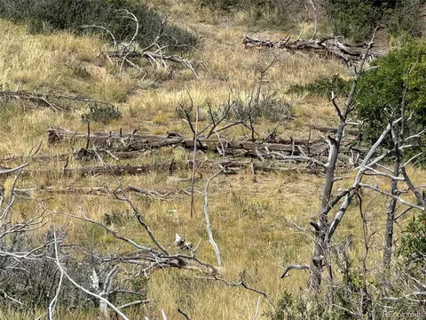 0 25th Trl, Cotopaxi, CO 81223 photo 16
