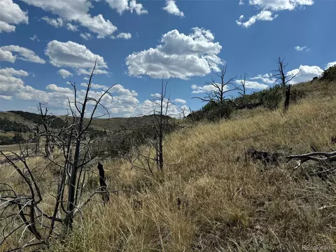 0 25th Trl, Cotopaxi, CO 81223 photo 4
