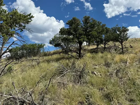 0 25th Trl, Cotopaxi, CO 81223 photo 10