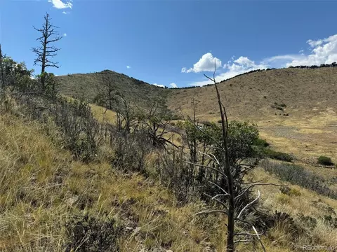 0 25th Trl, Cotopaxi, CO 81223 photo 18