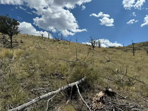 0 25th Trl, Cotopaxi, CO 81223 photo 11