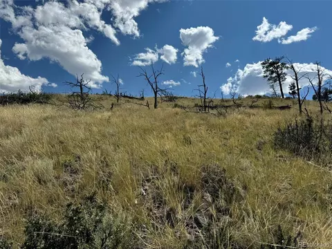 0 25th Trl, Cotopaxi, CO 81223 photo 17