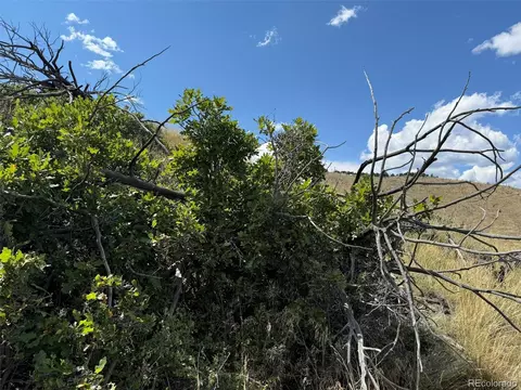 0 25th Trl, Cotopaxi, CO 81223 photo 5