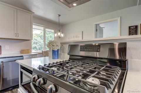 4743 Everett Ct, Wheat Ridge, CO 80033 photo 16