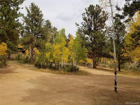 332 Hall Rd, Bailey, CO 80421 photo 25