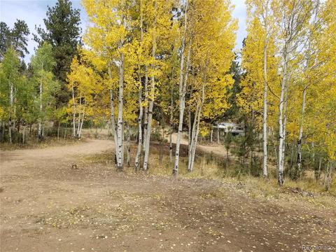 332 Hall Rd, Bailey, CO 80421 photo 18