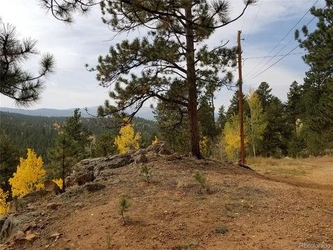 332 Hall Rd, Bailey, CO 80421 photo 28