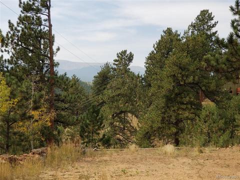 332 Hall Rd, Bailey, CO 80421 photo 4