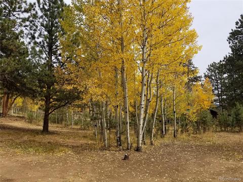 332 Hall Rd, Bailey, CO 80421 photo 3