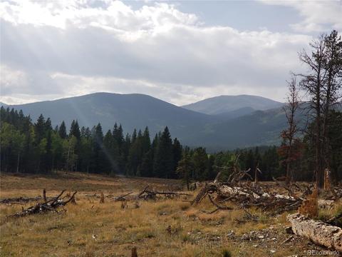332 Hall Rd, Bailey, CO 80421 photo 40