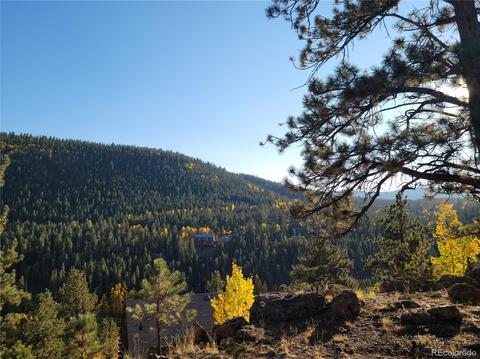 332 Hall Rd, Bailey, CO 80421 photo 2