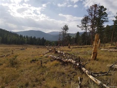 332 Hall Rd, Bailey, CO 80421 photo 39