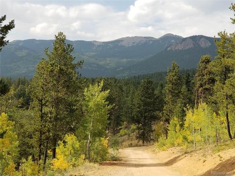 332 Hall Rd, Bailey, CO 80421 photo 34