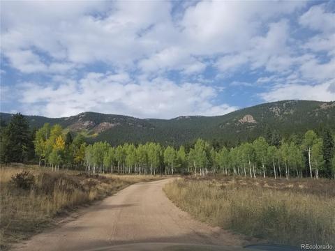 332 Hall Rd, Bailey, CO 80421 photo 36