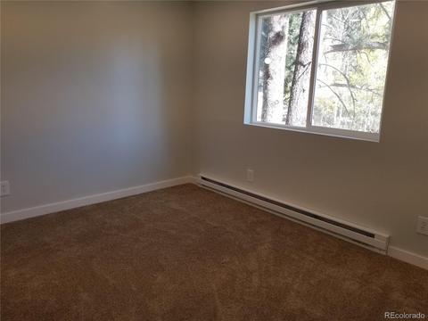 332 Hall Rd, Bailey, CO 80421 photo 12