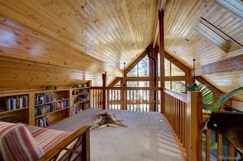 10987 Wallace Ave, Conifer, CO 80433 photo 16