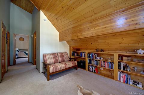 10987 Wallace Ave, Conifer, CO 80433 photo 17