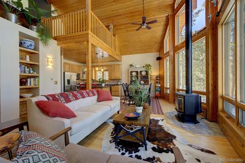 10987 Wallace Ave, Conifer, CO 80433 photo 3