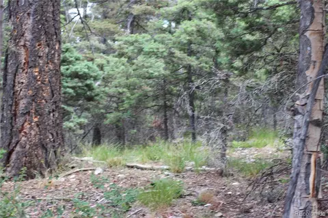 lot6077 Vreeland Rd, San Luis, CO 81152