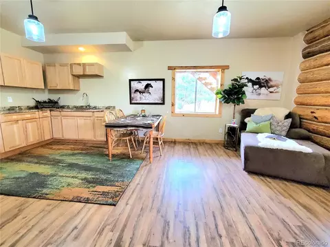 1226 E Path, Cotopaxi, CO 81223 photo 32