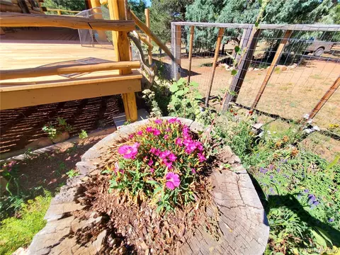 1226 E Path, Cotopaxi, CO 81223 photo 47