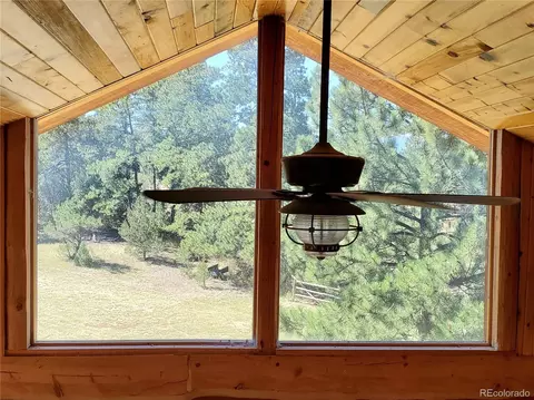 1226 E Path, Cotopaxi, CO 81223 photo 25