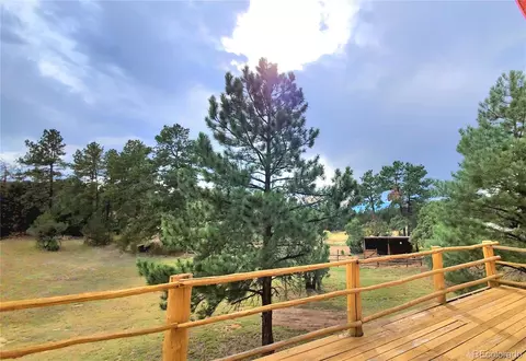 1226 E Path, Cotopaxi, CO 81223 photo 19