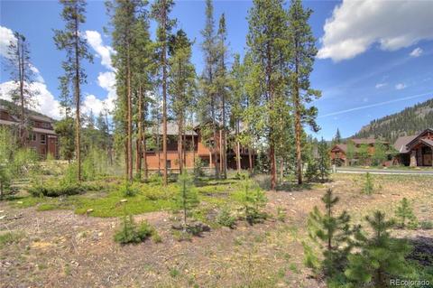 30 Wolf Rock Rd, Dillon, CO 80435 photo 18
