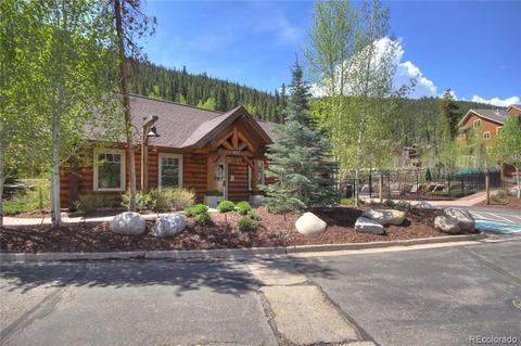 30 Wolf Rock Rd, Dillon, CO 80435 photo 9