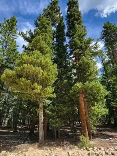 Valley Of The Sun Drive, Fairplay, CO 80440