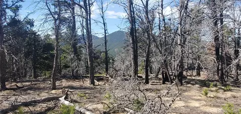lot2739 Newman Pl, Fort Garland, CO 81133