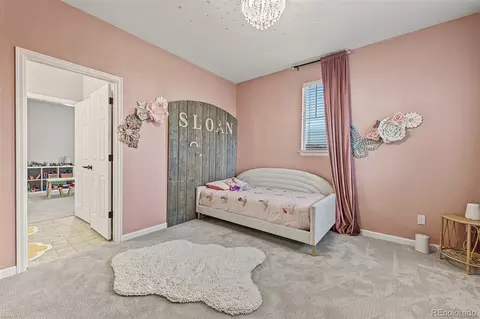 Bedroom - 25030 E Indore Pl, Aurora, CO 80016 photo 7 of 8