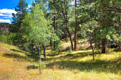 33742 Natural Spring Rd, Pine, CO 80470 photo 14