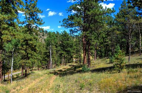 33742 Natural Spring Rd, Pine, CO 80470 photo 18
