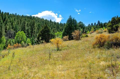 33742 Natural Spring Rd, Pine, CO 80470 photo 9