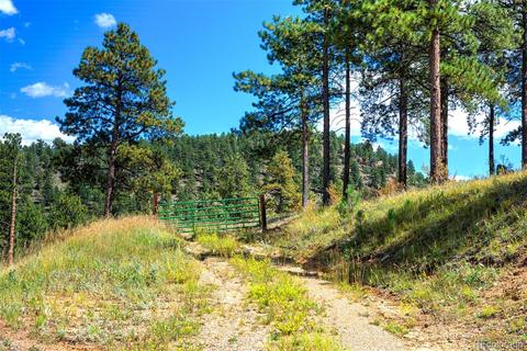 33742 Natural Spring Rd, Pine, CO 80470 photo 17