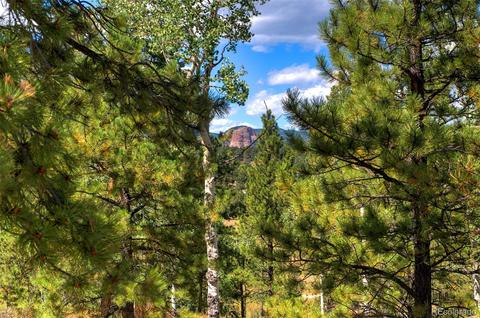33742 Natural Spring Rd, Pine, CO 80470 photo 3