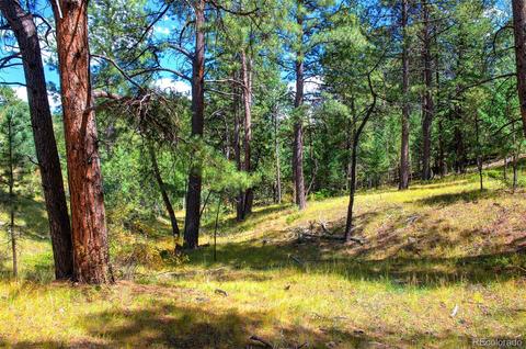 33742 Natural Spring Rd, Pine, CO 80470 photo 12
