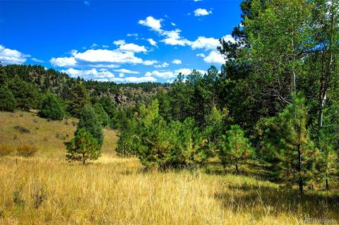 33742 Natural Spring Rd, Pine, CO 80470 photo 8