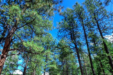 33742 Natural Spring Rd, Pine, CO 80470 photo 20